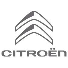 Citroen Car Paint