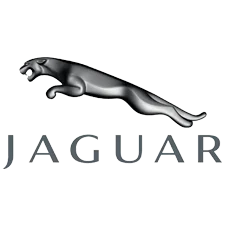 Jaguar Car Paint