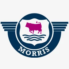 Morris Minor Car Paint