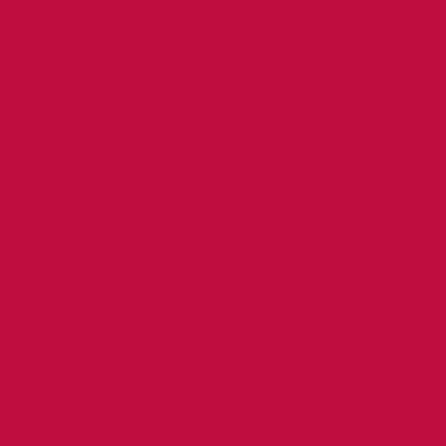 Pantone 193 Paint