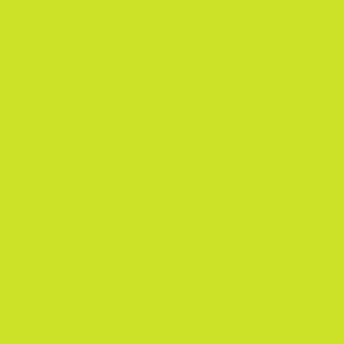 Pantone 381 Paint