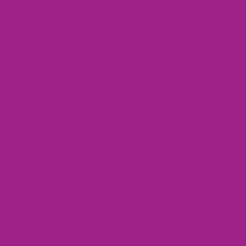 Pantone 513 Paint