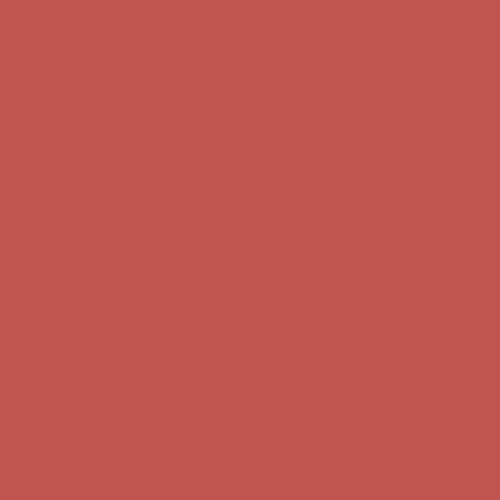 RAL 030 50 50 Paint