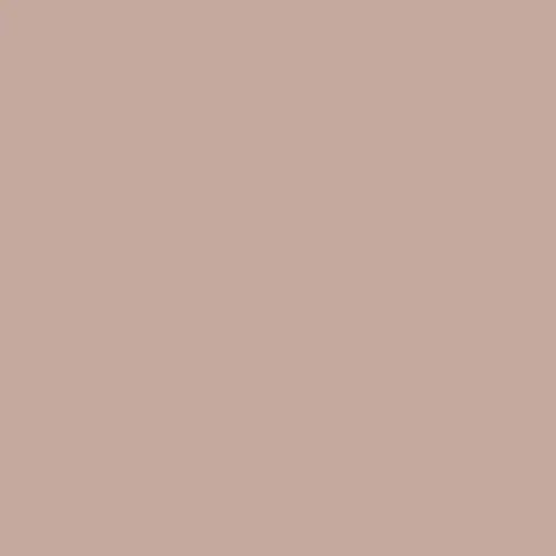 Image of British Standard BS 1-016 Paint