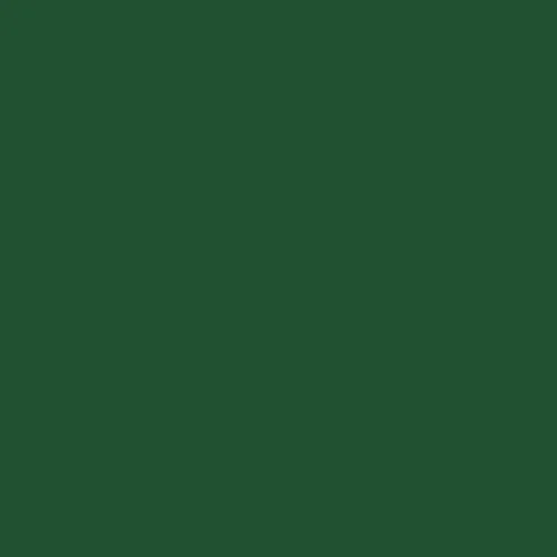 Image of BS 381c Middle Brunswick Green 226 Paint