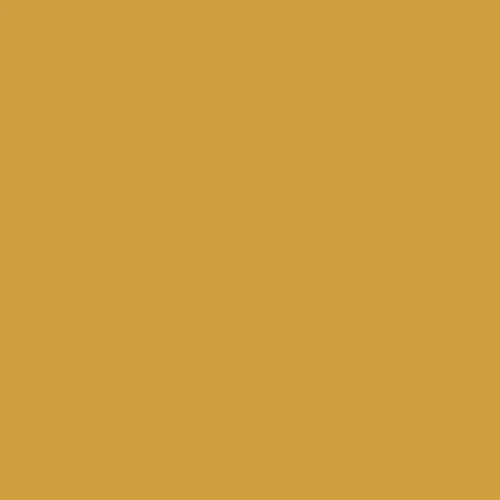 Image of BS 381c Middle Buff 359 Paint