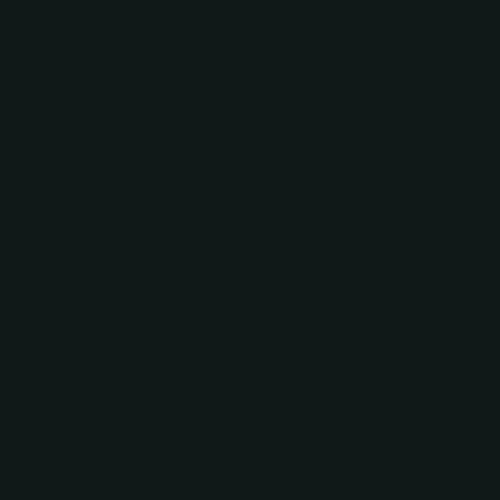 Image of BS 381c Night 642 Paint