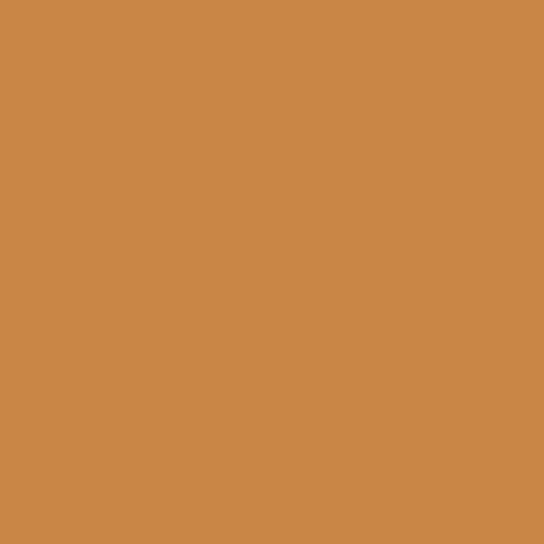 Image of British Standard BS 4800 - 06 D 43 Paint