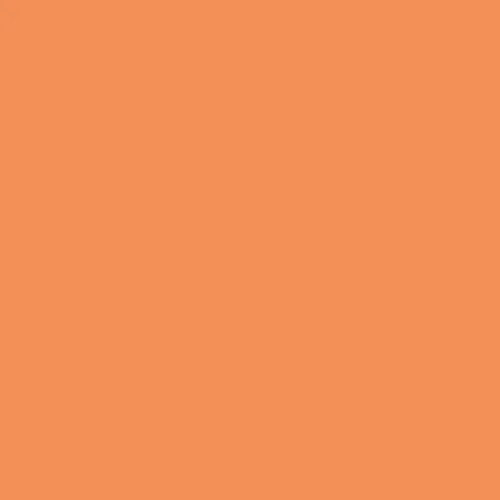 Image of British Standard BS 4800 - 06 E 51 Paint
