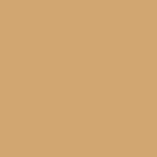 Image of British Standard BS 4800 - 08 C 35 Paint