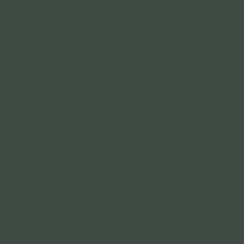 Image of British Standard BS 4800 - 14 C 40 Paint