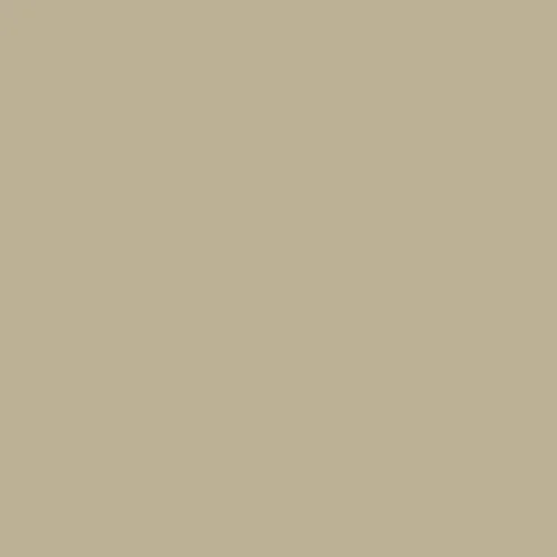 Image of BS 5252 10 B 19 Paint