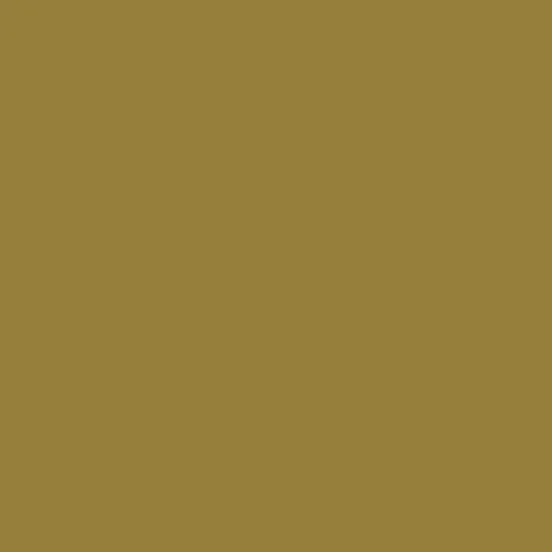 Image of BS 5252 10 C 37 Paint