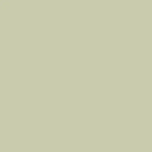 Image of BS 5252 12 B 17 Paint
