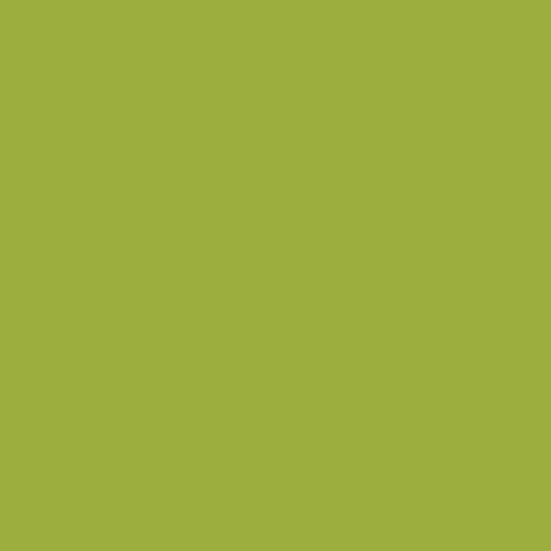 Image of BS 5252 12 E 53 Paint