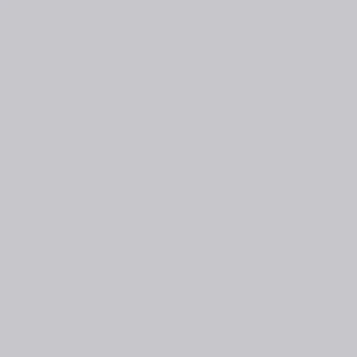 Image of BS 5252 22 B 17 Paint
