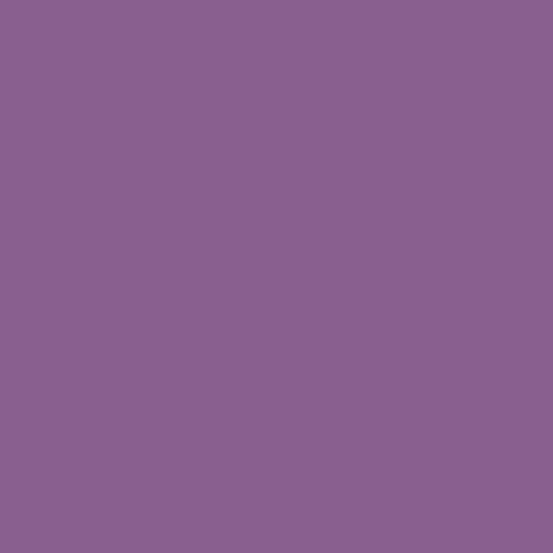 Image of BS 5252 24 E 53 Paint