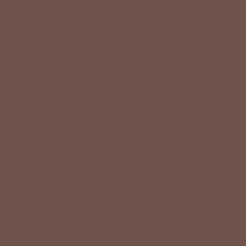 Image of Dulux Trade 50yr 10/151 - Exotic Spice 2 Paint