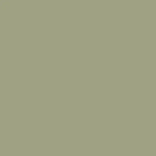 Image of Dulux Trade 90yy 35/169 - Celtic Forest 2 Paint