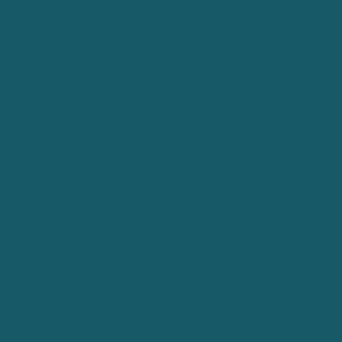 Image of Master Chroma Cb5265 - Blue 5265 Paint