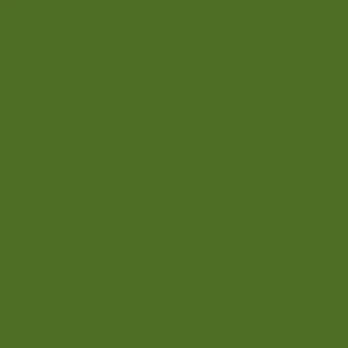 Image of Master Chroma Cg6430 - Green 6430 Paint
