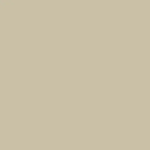 Image of Master Chroma Cp7510 - Grey 7510 Paint