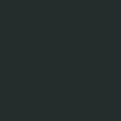 Image of Master Chroma Cp7925 - Grey 7925 Paint