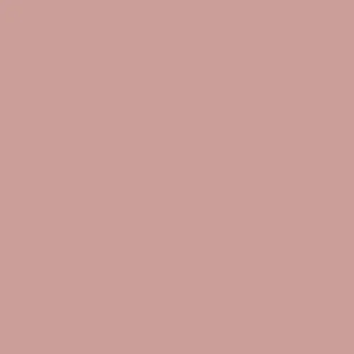 Image of Master Chroma Cv4095 - Violet 4095 Paint