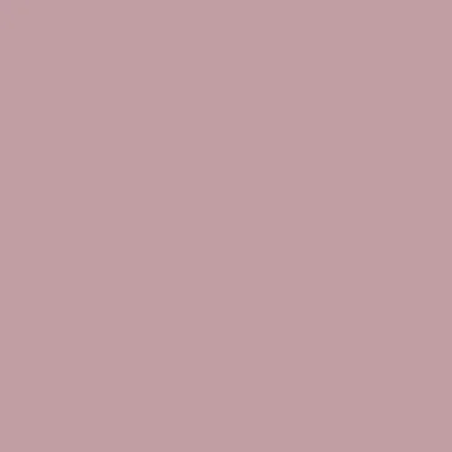 Image of Master Chroma Cv4205 - Violet 4205 Paint