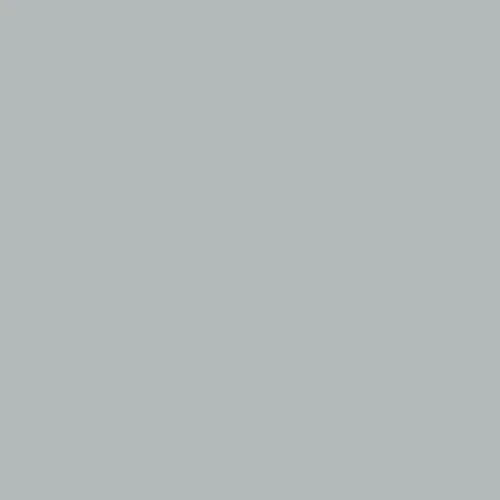 Image of Master Chroma Isofan - N9180 - Neutral Paint