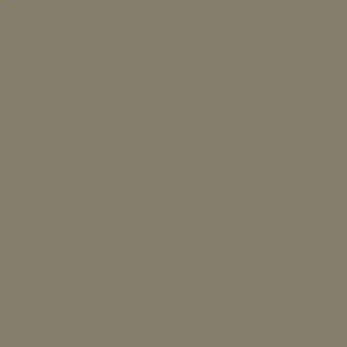 Image of Master Chroma Isofan - N9206 - Neutral Paint