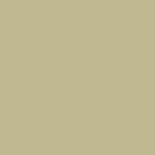 Image of Master Chroma Isofan - N9211 - Neutral Paint
