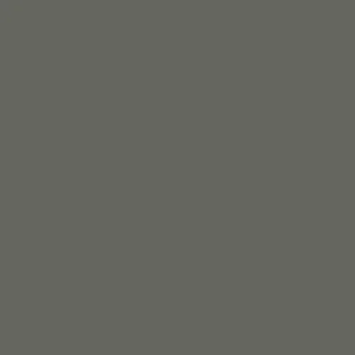 Image of Master Chroma Isofan - N9214 - Neutral Paint
