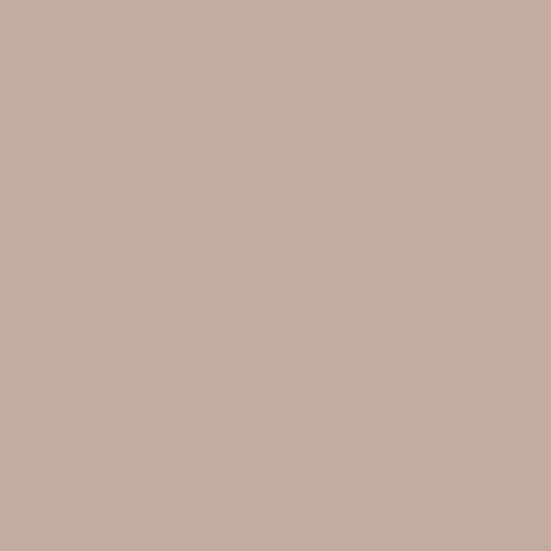 Image of Master Chroma Isofan - N9238 - Neutral Paint