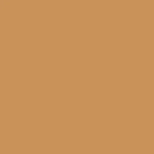 Image of Master Chroma Isofan - N9280 - Neutral Paint