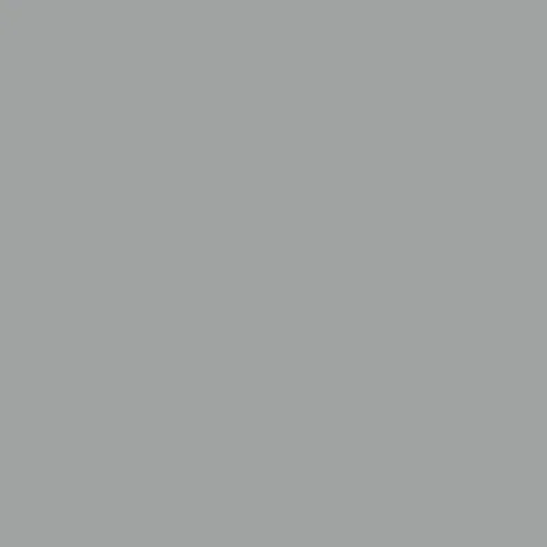 Image of Master Chroma Isofan - N9323 - Neutral Paint