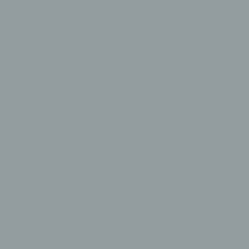 Image of Master Chroma Isofan - N9330 - Neutral Paint