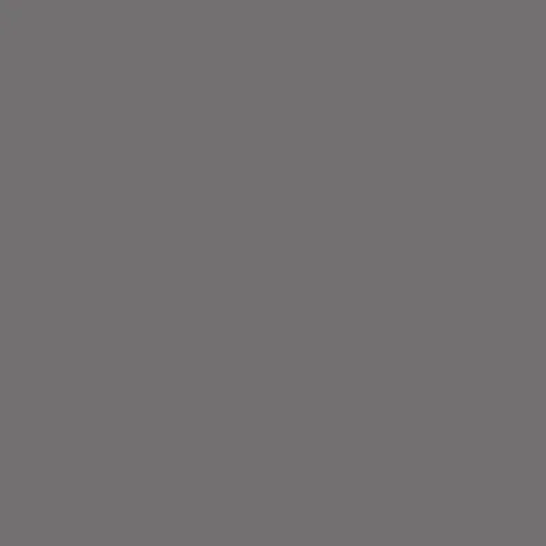Image of Master Chroma Isofan - N9399 - Neutral Paint