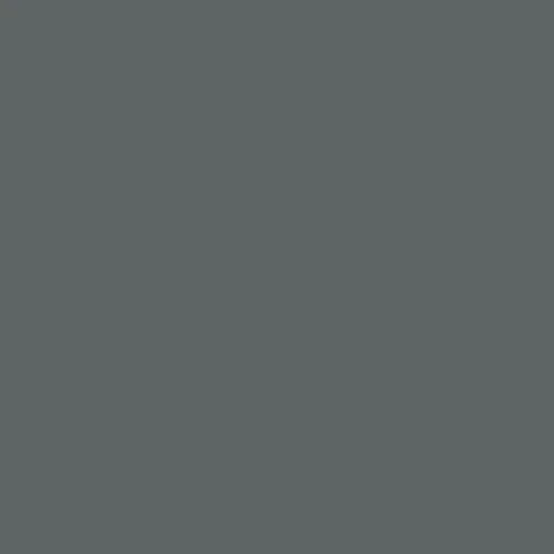 Image of Master Chroma Isofan - N9410 - Neutral Paint