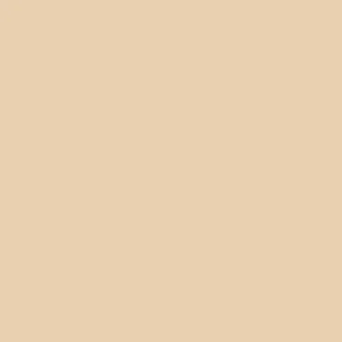 Image of Master Chroma Isofan - Y1040 - Yellow Paint