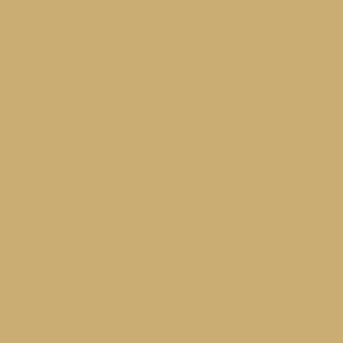 Image of Master Chroma Isofan - Y1069 - Yellow Paint