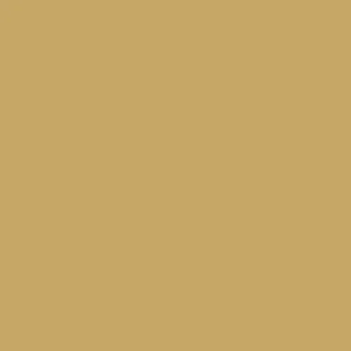 Image of Master Chroma Isofan - Y1070 - Yellow Paint