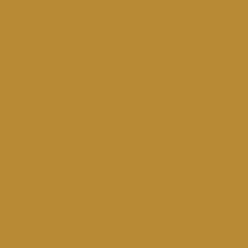 Image of Master Chroma Isofan - Y1234 - Yellow Paint