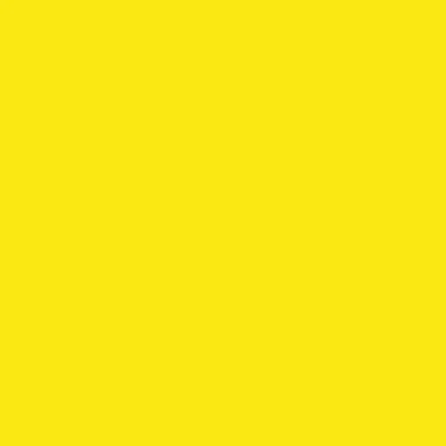 Image of Pantone 102 Paint