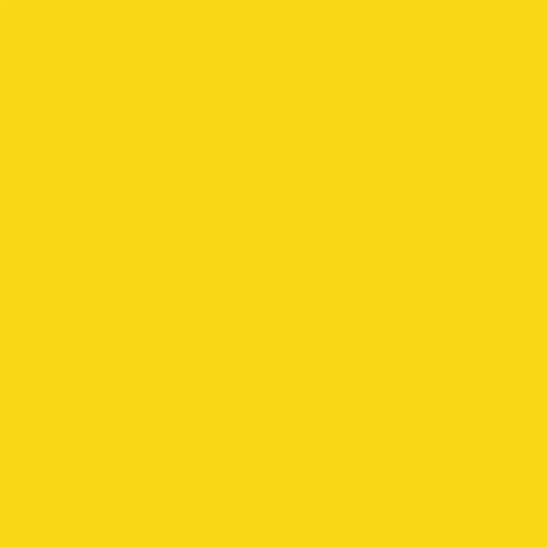 Image of Pantone 109 Paint