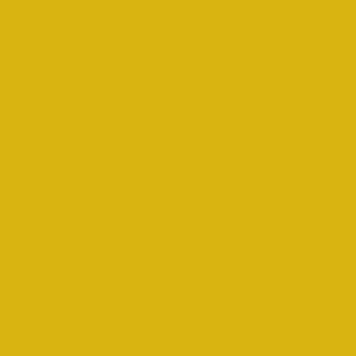 Image of Pantone 110 Paint