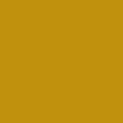 Image of Pantone 1245 Paint