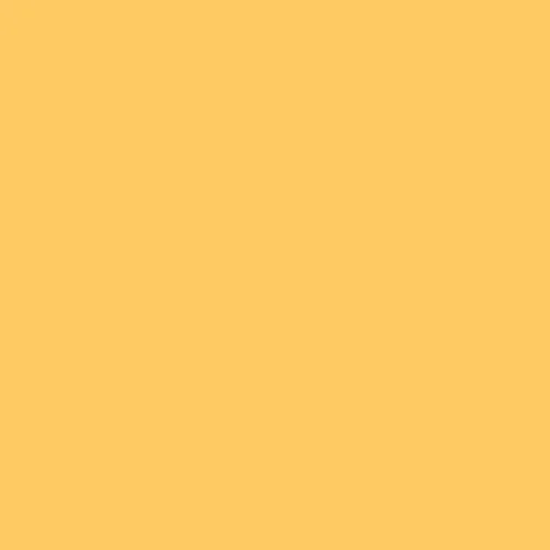 Image of Pantone 135 Paint