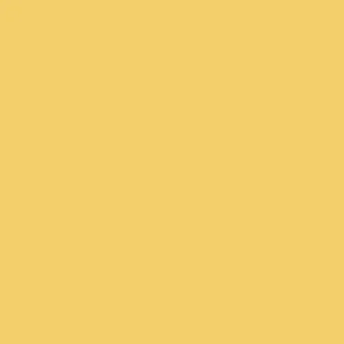 Image of Pantone 141 Paint