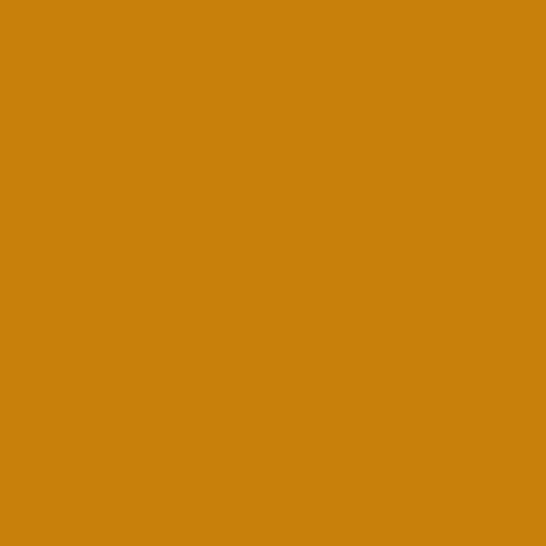 Image of Pantone 145 Paint